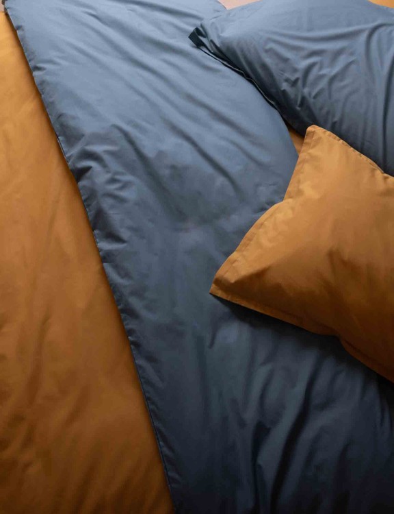 logo brand cavalieri